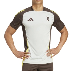 Juventus Maillot Training Gris Homme Adidas Tiro 24