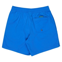 Maillot de Bain Bleu Homme Quiksilver Solid 15 EQYJV04120