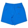 Maillot de Bain Bleu Homme Quiksilver Solid 15 EQYJV04120