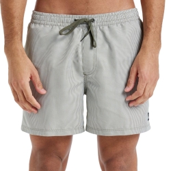 Short de bain Kaki Homme Quiksilver Deluxe 15
