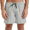 Short de bain Kaki Homme Quiksilver Deluxe 15