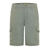 Short Vert Homme Lee Fort