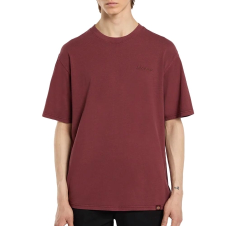 T-shirt Bordeaux Homme Dickies Plentywood