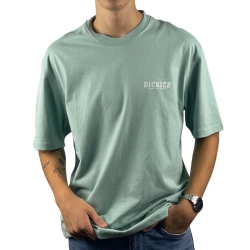 T-shirt Vert Homme Dickies Script Blue Surf