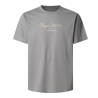 T-shirt Gris Homme Pepe Jeans 508208