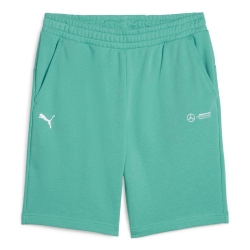 Short Turquoise Homme Puma 623761