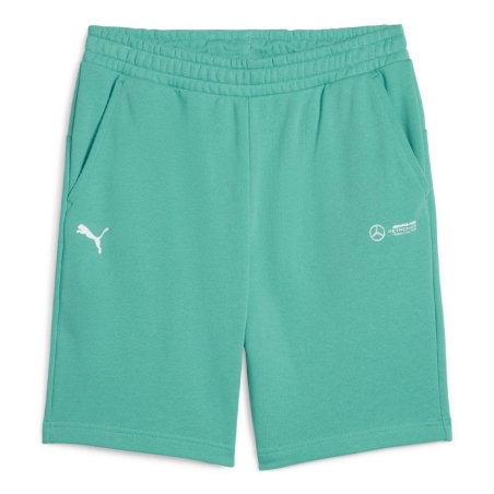 Short Turquoise Homme Puma 623761
