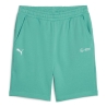 Short Turquoise Homme Puma 623761