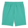 Short Turquoise Homme Puma 623761