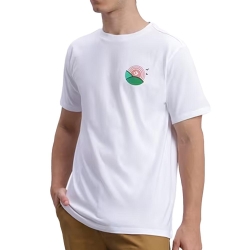 T-shirt Blanc Homme Converse Outdoor Leaf