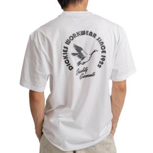 T-shirt Blanc Homme Dickies Goose