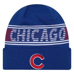 Bonnet Bleu Homme New Era Chicub