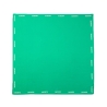 Foulard Vert Mixte Lacoste RE2797