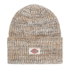Bonnet Beige/Marron Homme Dickies Ultimate