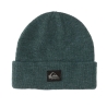 Bonnet Vert Homme Quiksilver Performer 4782