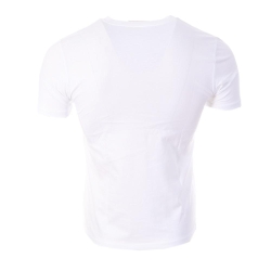 T-Shirt Blanc/Bleu Homme Vans Painted