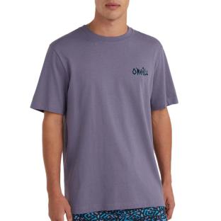 T-Shirt Violet Homme O'Neill Framed