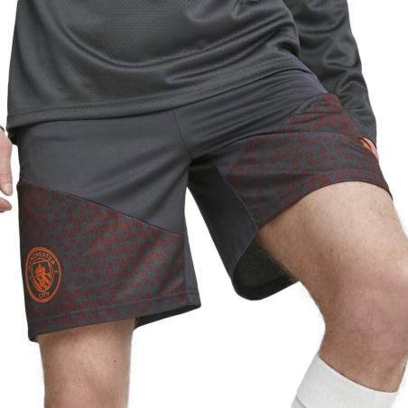Manchester City Short Gris Foncé Homme Puma 2023/24