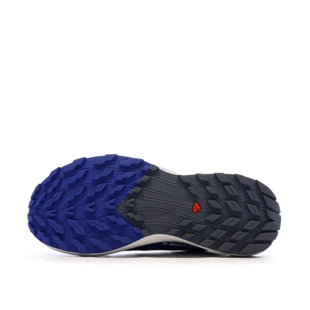 Chaussures de Trail Gris/Bleu Homme Salomon Sense Ride 5