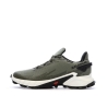Chaussures de randonnées Kaki Homme Salomon Alphacross 4