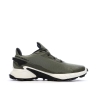 Chaussures de randonnées Kaki Homme Salomon Alphacross 4