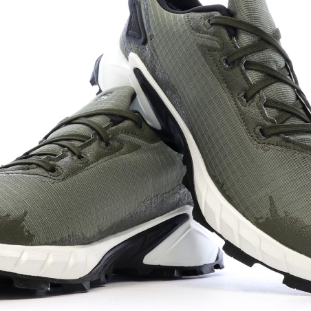 Chaussures de randonnées Kaki Homme Salomon Alphacross 4