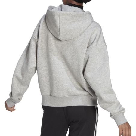 Sweat Gris Femme Adidas W Bluv Q4 Hd Tt