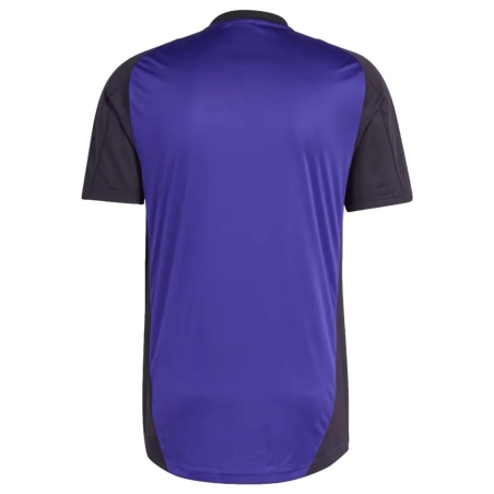 Allemagne Maillot Training Homme Adidas 2024