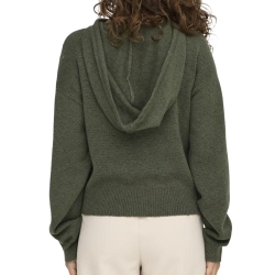 Pull Sweat à capuche Kaki Femme JDY Life