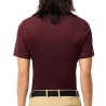 Polo Bordeaux Homme Lacoste ixz