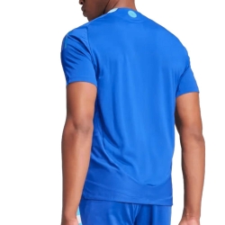 Argentine Maillot Authentic Extérieur Homme Adidas 2024