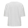 Sweat Gris clair Femme JDY Viola