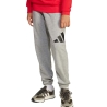 Jogging Gris Garçon Adidas JD2092