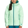Manteau de ski Vert Fille The North Face Freedom Insulated