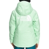 Manteau de ski Vert Fille The North Face Freedom Insulated