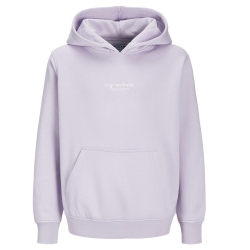 Sweat Mauve Garçon Jack & Jones Vesterbro 12256770