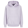 Sweat Mauve Garçon Jack & Jones Vesterbro 12256770