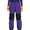 Pantalon de ski Violet Enfant The North Face Freedom Insulated