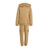 Survêtement Marron Enfant Adidas Hoodie