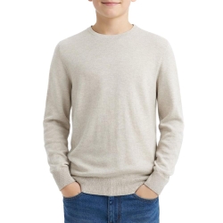 Pull Beige Garçon Jack & Jones Knit Neck