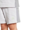 Ensemble Gris Garçon Adidas IJ0682
