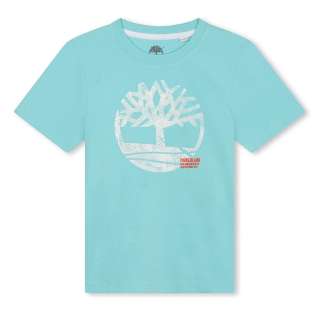 T-Shirt Bleu Clair Garçon Timberland T60087