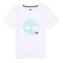 T-Shirt Blanc/Turquoise Garçon Timberland T60087