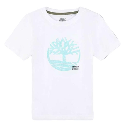 T-Shirt Blanc/Turquoise Garçon Timberland T60087