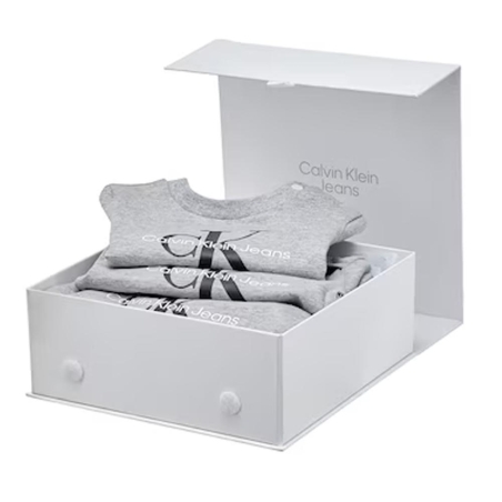 Ensemble Gris Bébe Gris Garçon Calvin Klein Jeans Monologo