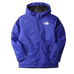 Manteau Bleu Garçon The North Face Teen Snowquest