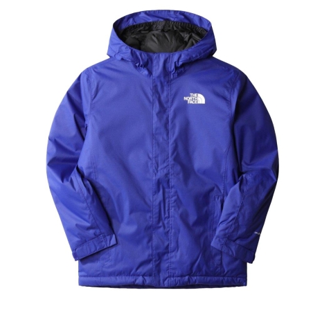 Manteau Bleu Garçon The North Face Teen Snowquest