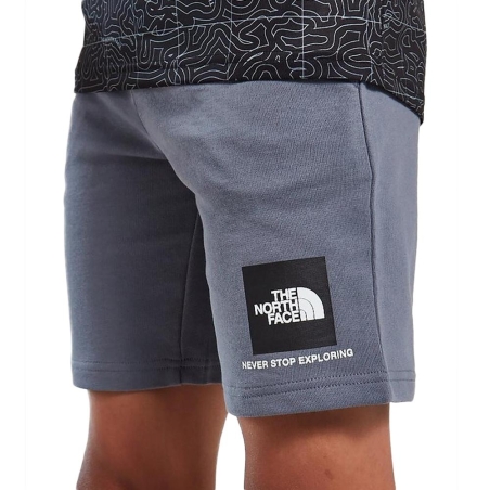 Short Gris Garçon The North Face Small Box