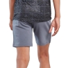 Short Gris Garçon The North Face Small Box