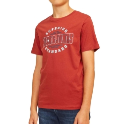 T-shirt Rouge Garçon Jack & Jones Logo 12258876